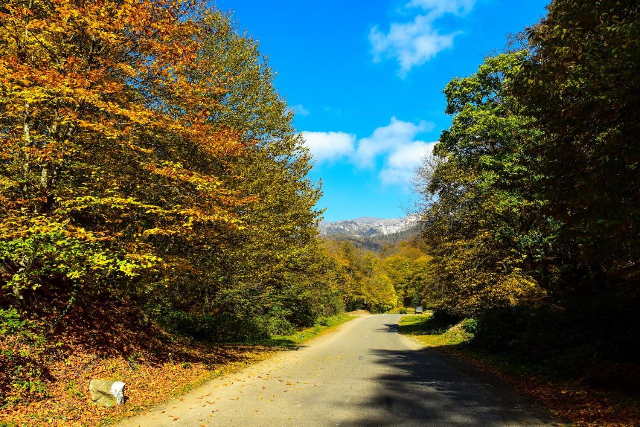 Belveder Eco Resort Dilijan Bagian luar foto