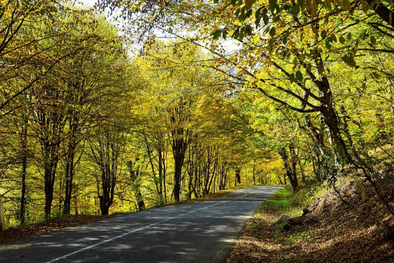 Belveder Eco Resort Dilijan Bagian luar foto