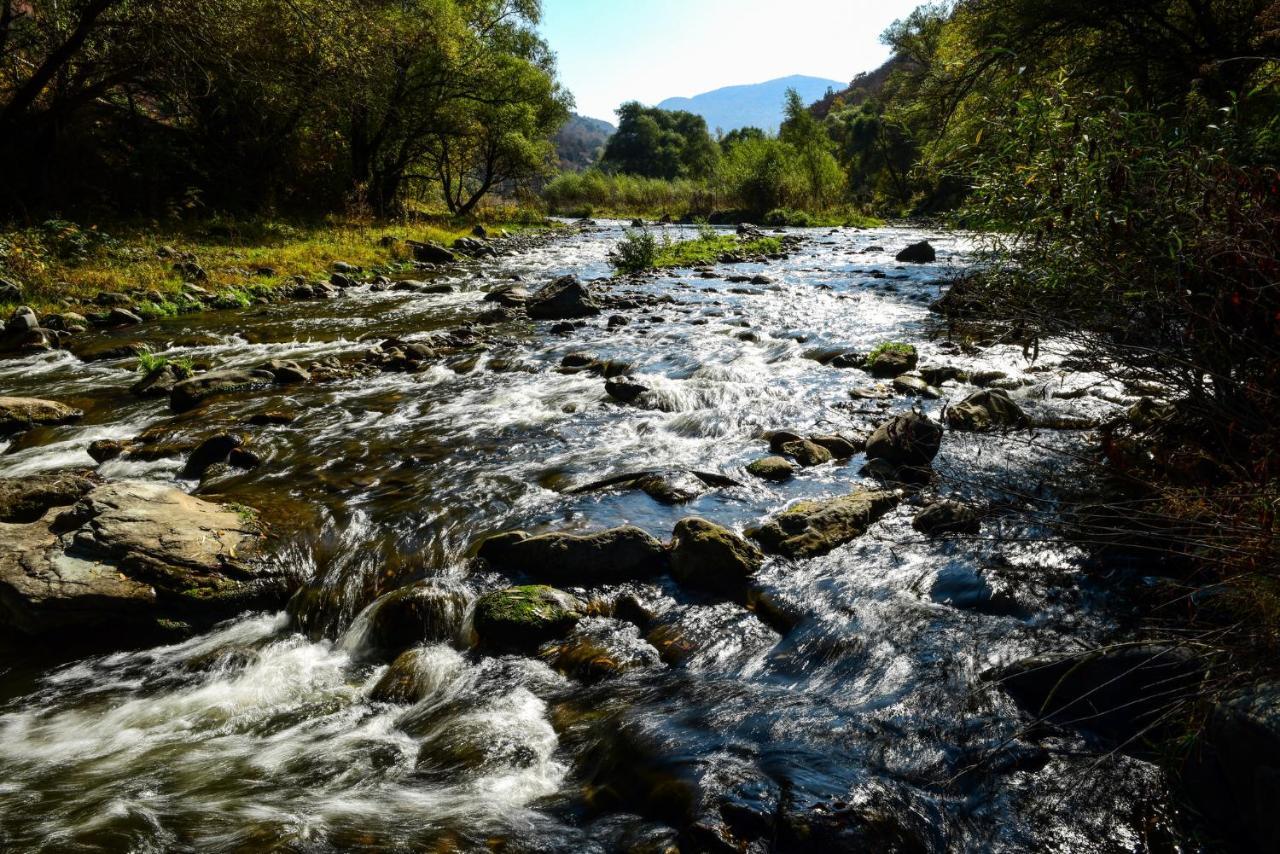 Belveder Eco Resort Dilijan Bagian luar foto